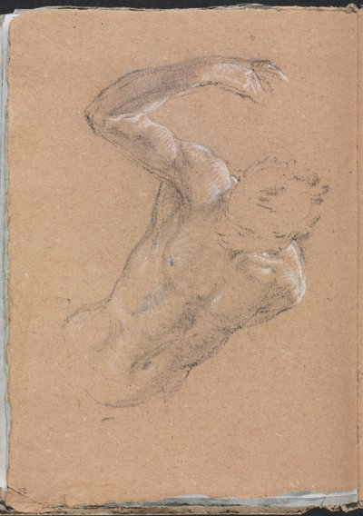 Verona Sketchbook : 右腕を上げた男性ヌード (32ページ) 作： Francesco Lorenzi