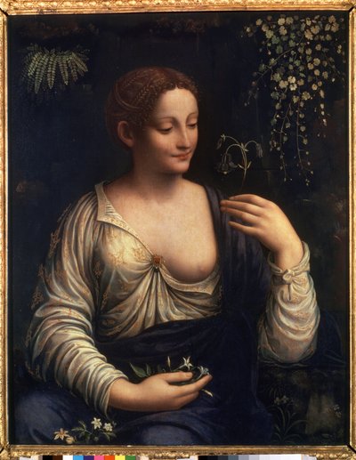 ""Flore"" (フローラ) フランチェスコ・メルツィ (1493-1570 年頃) による絵画 1510-1515 Dim. 76x63 cm サンクトペテルブルク エルミタージュ美術館 作： Francesco Melzi or Melzo