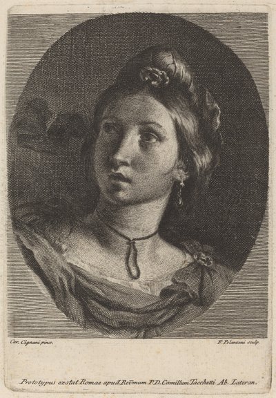若い女性の頭 作： Francesco Polanzani after Carlo Cignani