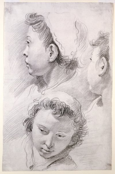 青年の頭部に関する3つの研究 作： Francesco Salvator Fontebasso