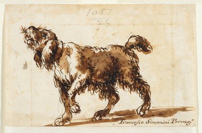 犬の遠吠え（レクト）1700-50年頃（黒チョーク、ペン・茶インク、茶ウォッシュ、グラファイト、敷き紙） 作： Francesco Simonini