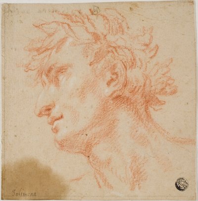 月桂樹の葉を冠にした男性の横顔 作： Francesco Solimena