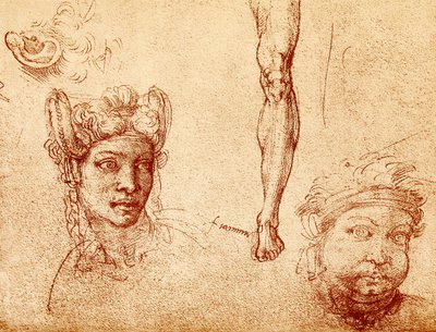 頭と脚の研究 作： Francesco Ubertini Bacchiacca