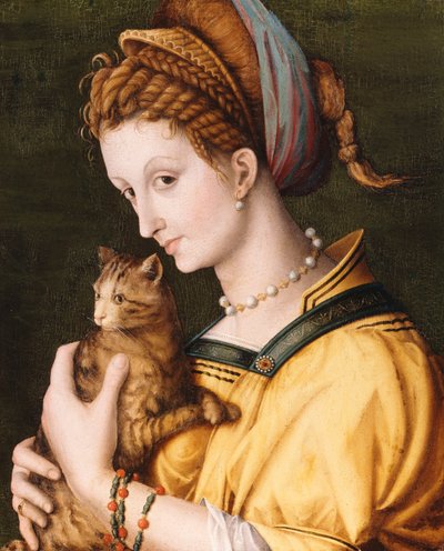 猫を持つ女性、1525〜30年頃 作： Francesco Ubertini Bacchiacca