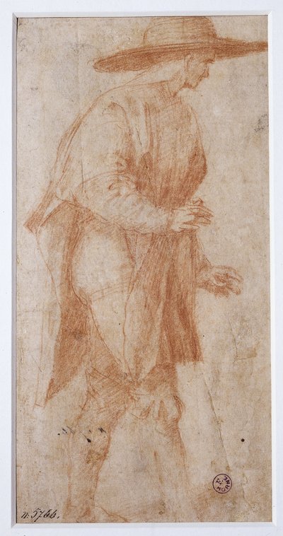 不明な画像 作： Francesco Ubertini Bacchiacca