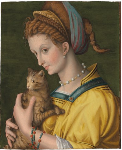 猫を抱いた若い女性の肖像画 作： Francesco Ubertini Verdi Bachiacca