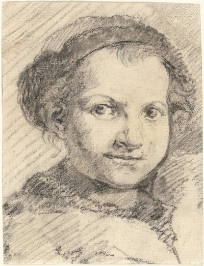微笑む少年 作： Francesco Zuccarelli