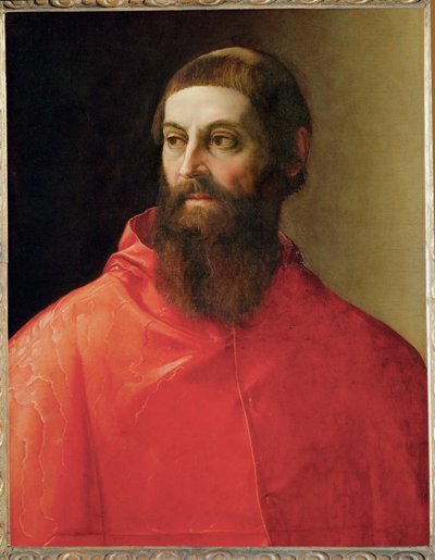 ロドルフォ・ピオ枢機卿（キャンバスに絵画） 作： Francesco de Rossi Salviati