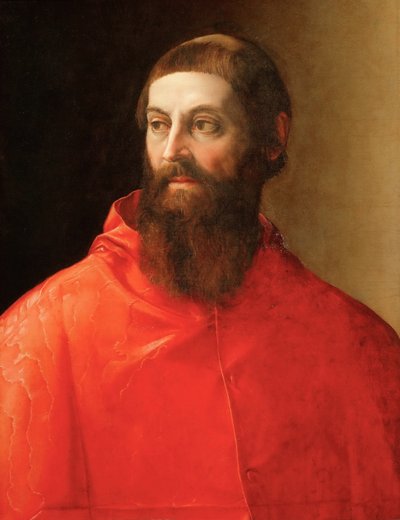 ロドルフォ・ピオ・デ・カルピ（ロドルフェ・デ・カルピ）（1500-1564） - 枢機卿ロドルフォ・ピオの肖像、ロッシ、フランチェスコ、デ（1510-1563）作。キャンバスに油彩、1545年頃。サイズ：71,5x57 cm。美術史博物館、ヴィエンヌ 作： Francesco de Rossi Salviati
