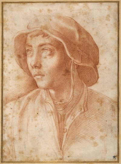 帽子をかぶった少年の胸像（クリーム色の紙に赤チョークで描かれている 作： Francesco de Rossi Salviati Cecchino