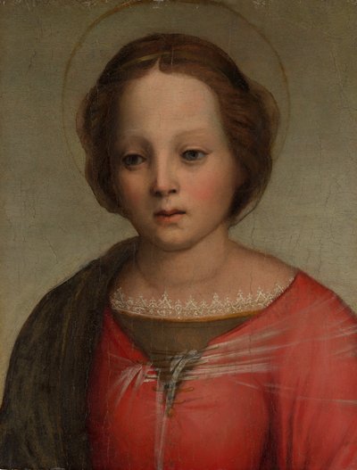 マドンナの頭、ca。 1509。 作： Francesco di Cristofano Franciabigio