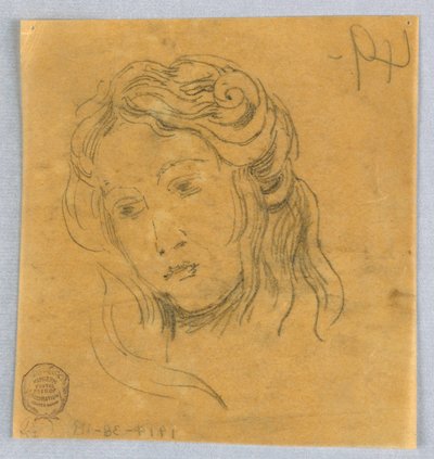 女性の頭のスケッチ 作： Francis Augustus Lathrop