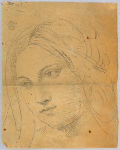 女性の頭のスケッチ 作： Francis Augustus Lathrop