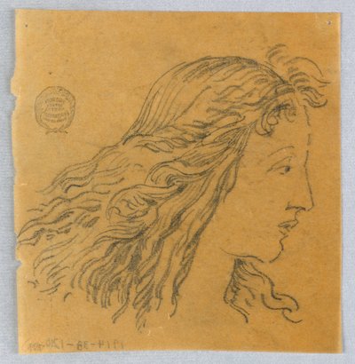 プロファイルの女性の頭のスケッチ 作： Francis Augustus Lathrop
