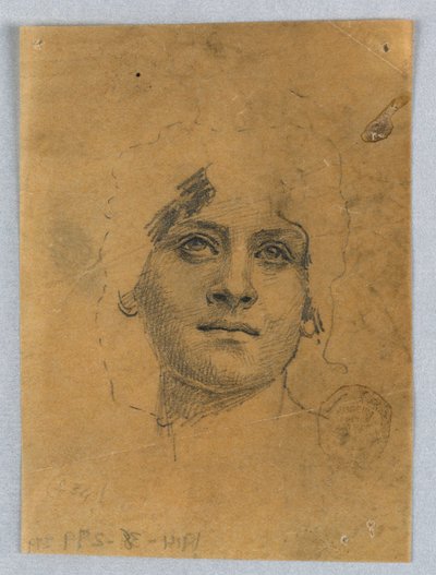 女性の顔のスケッチ 作： Francis Augustus Lathrop