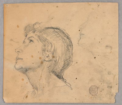 女性の頭のスケッチ 作： Francis Augustus Lathrop