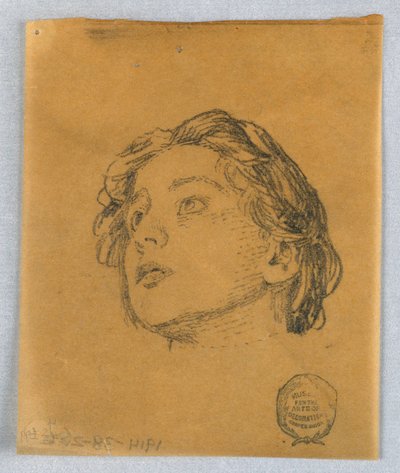 女性の頭のスケッチ 作： Francis Augustus Lathrop