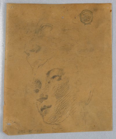 女性の頭のスケッチ 作： Francis Augustus Lathrop