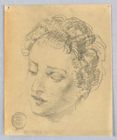 女性の頭のスケッチ 作： Francis Augustus Lathrop