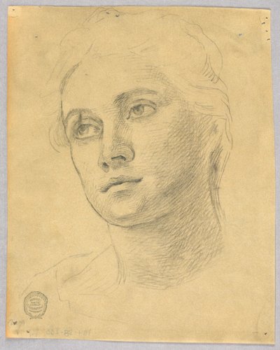 女性の頭のスケッチ 作： Francis Augustus Lathrop