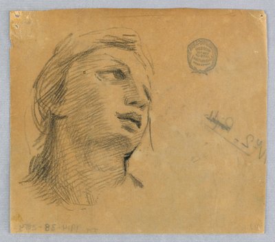 女性の頭のスケッチ 作： Francis Augustus Lathrop