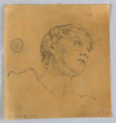 女性の頭のスケッチ 作： Francis Augustus Lathrop