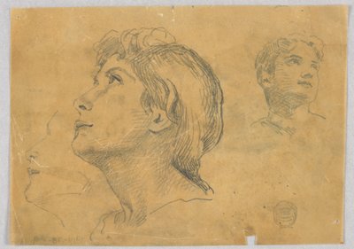 2 つの頭のスケッチ 作： Francis Augustus Lathrop