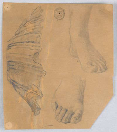 足とフルートシェルの研究 作： Francis Augustus Lathrop
