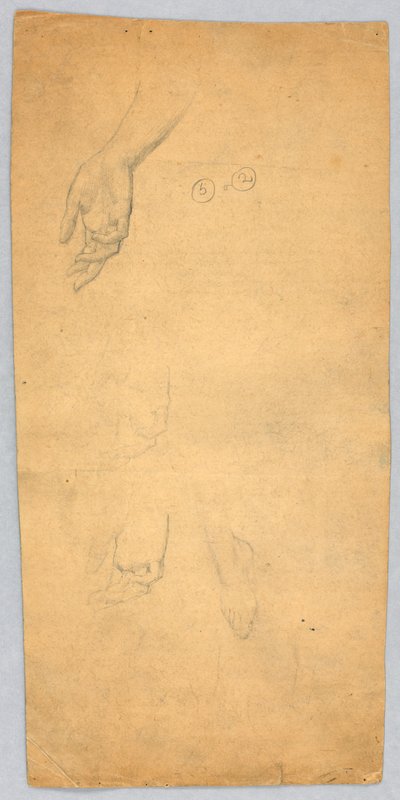 手と足の研究 作： Francis Augustus Lathrop