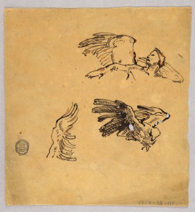 翼の研究 作： Francis Augustus Lathrop