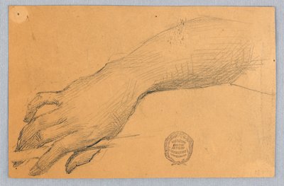 手と手首の研究 作： Francis Augustus Lathrop