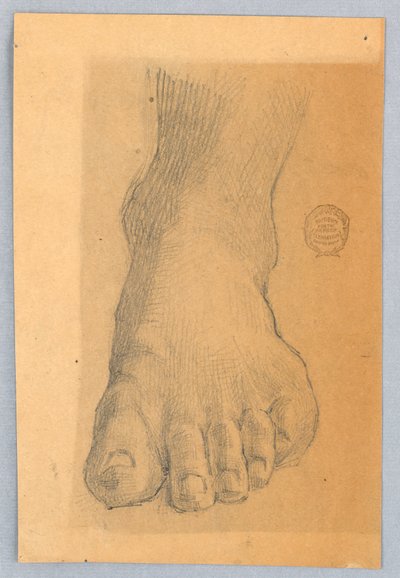 左足の研究 作： Francis Augustus Lathrop