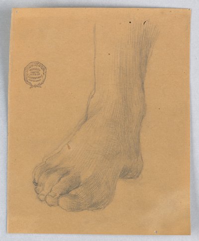右足の研究 作： Francis Augustus Lathrop