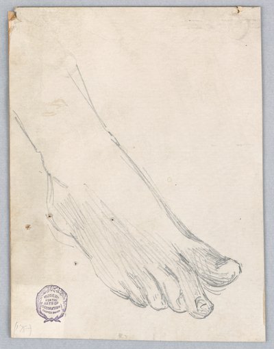 右足の研究 作： Francis Augustus Lathrop