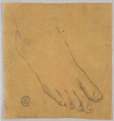 右足の研究 作： Francis Augustus Lathrop