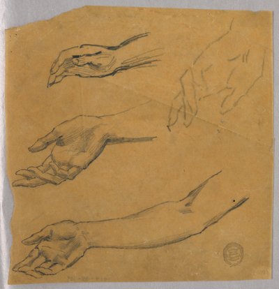 手と腕の 3 つの研究 作： Francis Augustus Lathrop