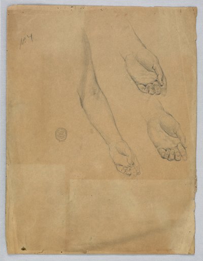 左手の 3 つの習作 作： Francis Augustus Lathrop