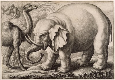 ヴァーツラフホラー（1607-77）1663によって彫刻された象とラクダ 作： Francis Barlow