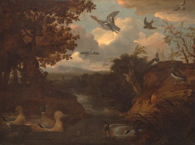 イタリア風の風景の中の小川についてのアヒルと他の鳥 作： Francis Barlow