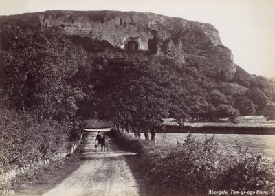 Abergele、Tan-yr-ogo 洞窟、1870 年代。 作： Francis Bedford