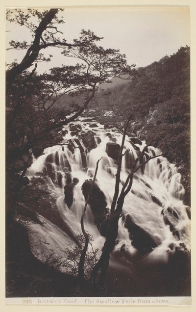 Betws-y Coed、ツバメが上から落ちる 作： Francis Bedford