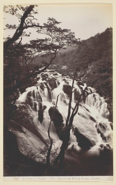 Bettws-y Coed、上からのツバメの滝、186094。 作： Francis Bedford