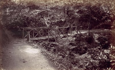 コルウィン湾。 森の中の素朴な橋、1870 年代。 作： Francis Bedford