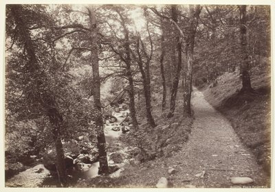 ドルゲリー、トレント ウォークでの眺め 作： Francis Bedford
