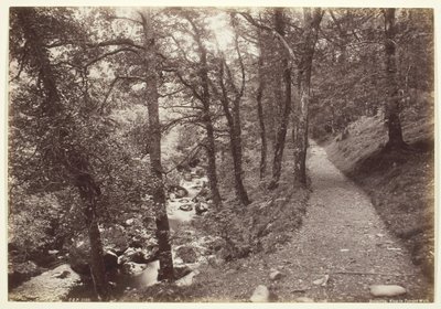 ドルゲリー、トレント ウォークでの眺め、186094。 作： Francis Bedford