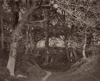 グレン・ケニルワース、1868年頃1868年（写真） 作： Francis Bedford