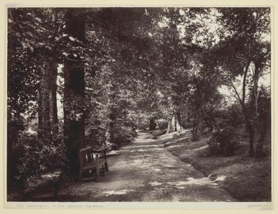リーミントン、ジェフソン庭園、186094。 作： Francis Bedford