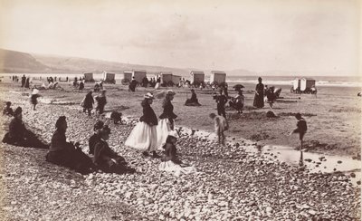 ビーチ建築、1860 年代。 作： Francis Bedford