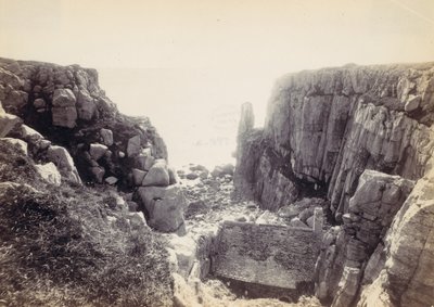 [海景のある岩の入り江]、1870年代。 作： Francis Bedford