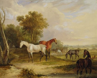 馬の放牧：牧草地で牝馬と放牧している灰色のスタリオン（キャンバスに油彩） 作： Francis Calcraft Turner